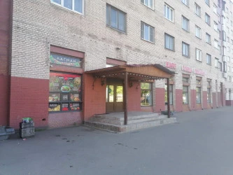 Нежилое помещение 264,9 кв. мна пр. Ветеранов